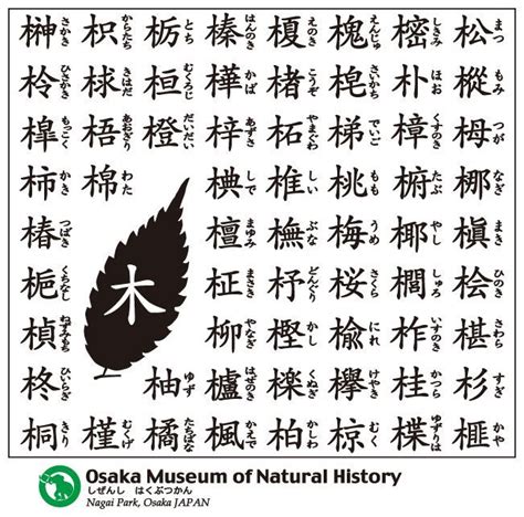 木 漢字|部首「き・きへん」【木】の漢字一覧表